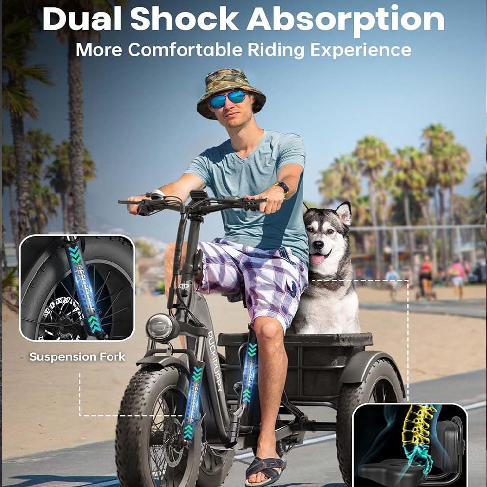 Electric Fat Trike 48V 1000W snowmobile Electric three-wheeled fat ebike 20-24inch