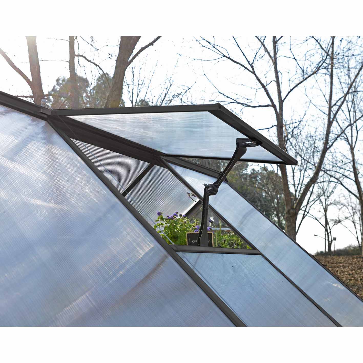 Palram Canopia Mythos 6x10 Silver Greenhouse -TwinWall Polycarbonate, Aluminum Frame, Base Included