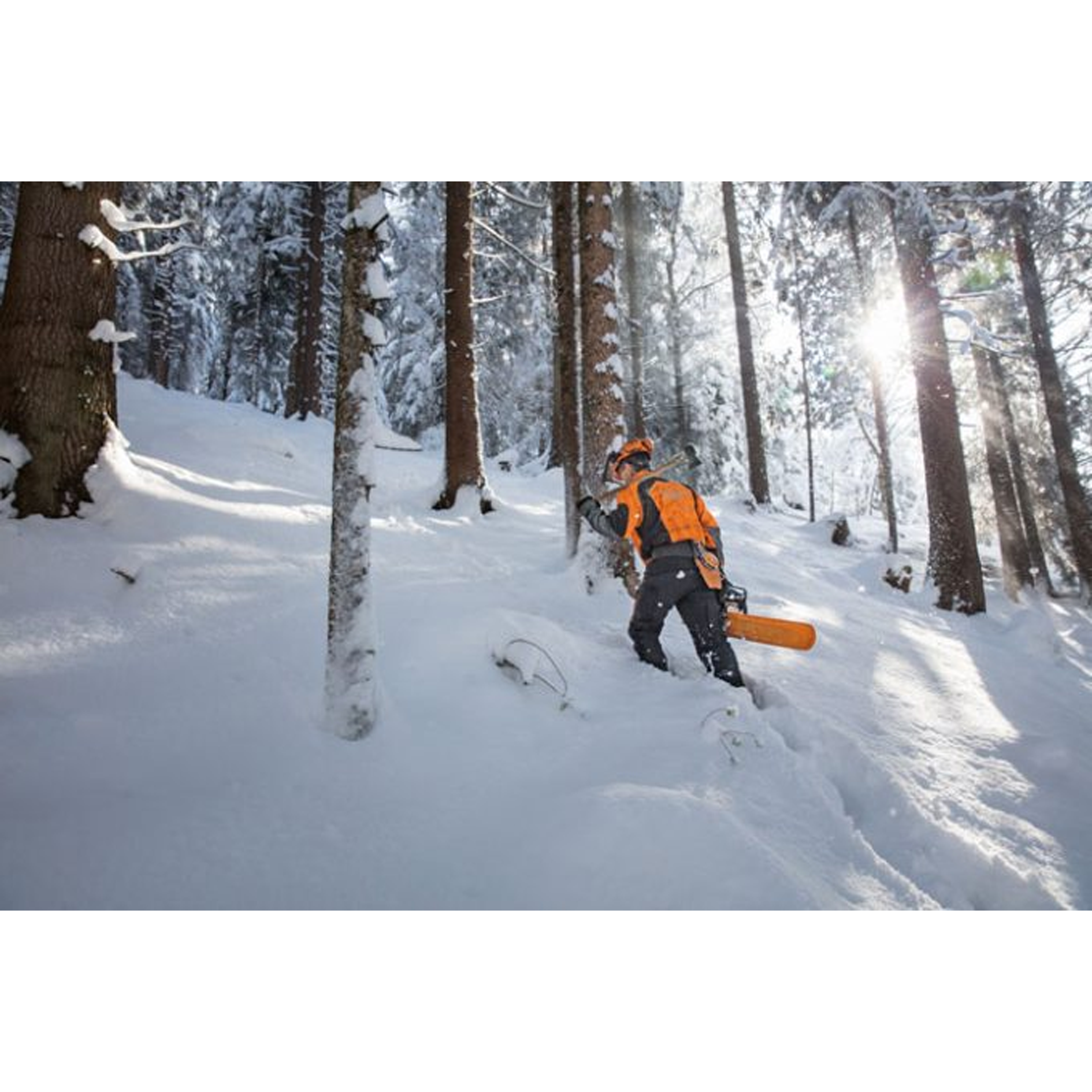 STIHL MS 462 Professional Chainsaw with 25 Inch bar and chain