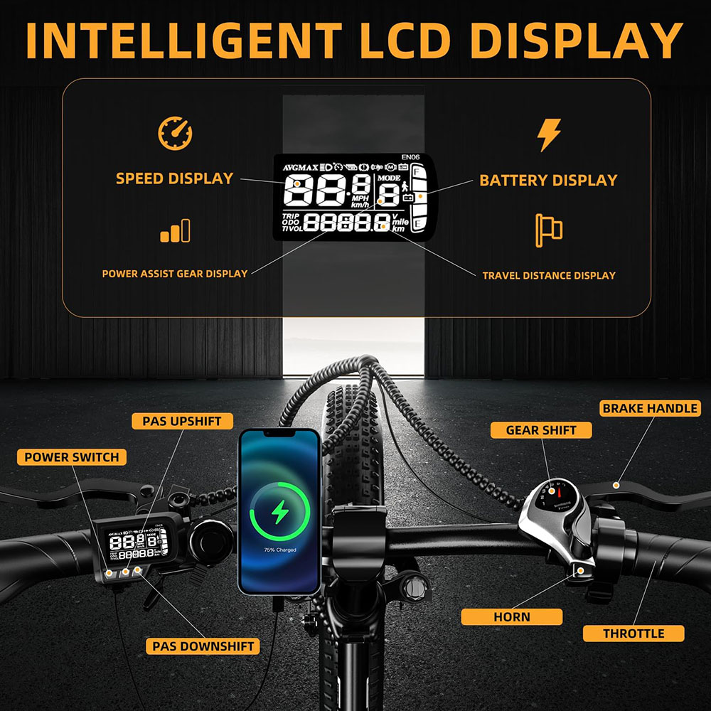 1000W, 48V 20AH Large Removable Battery E Bike